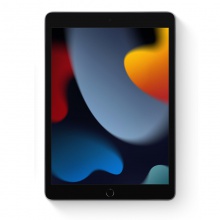 2021新款Apple/苹果 10.2 英寸 iPad9 (第九代) 国行正品平板电脑  256G WIFI版